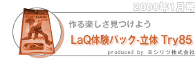 LaQ̌pbN/ Try85/y悤